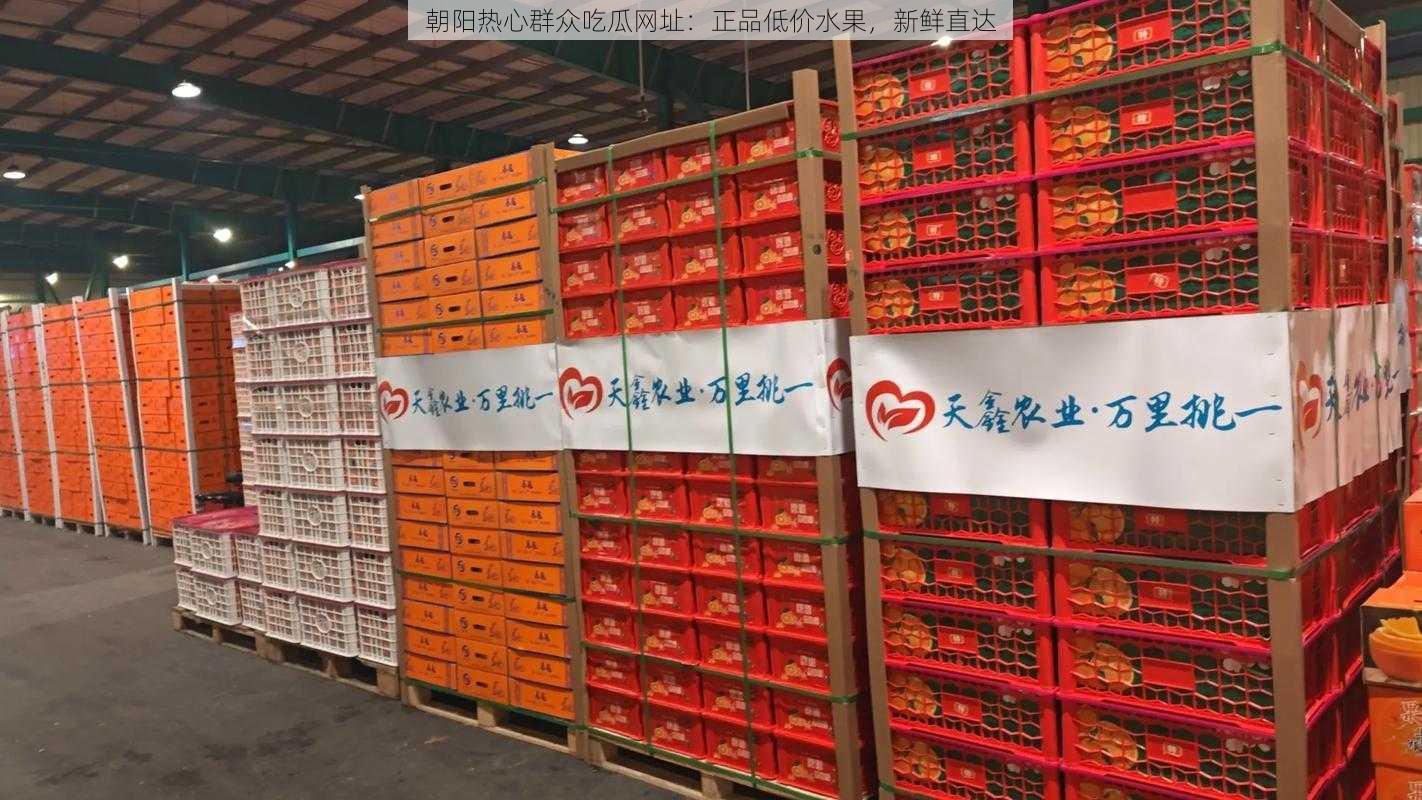 朝阳热心群众吃瓜网址：正品低价水果，新鲜直达