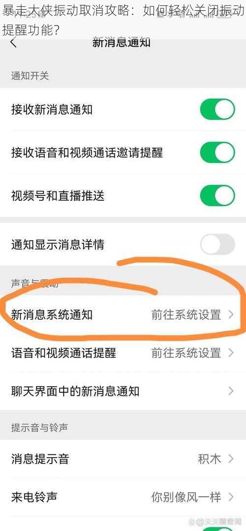 暴走大侠振动取消攻略：如何轻松关闭振动提醒功能？